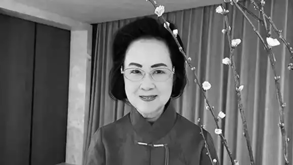 琼瑶阿姨的遗世之作：用Java诠释“翩然离去”的编程哲学