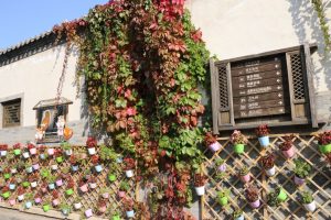 IMG_0690-300x200