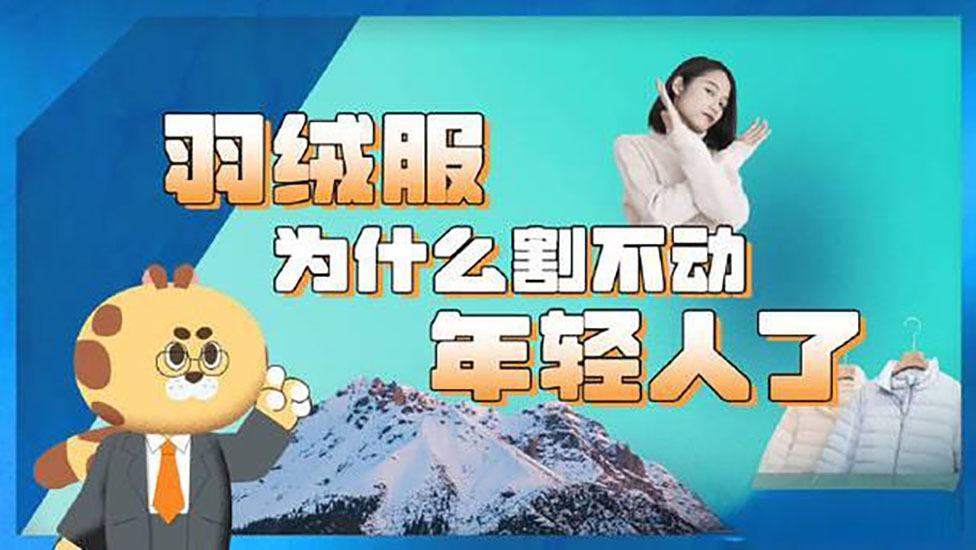 羽绒服割不动年轻人？Java代码教你“穿”出新选择！